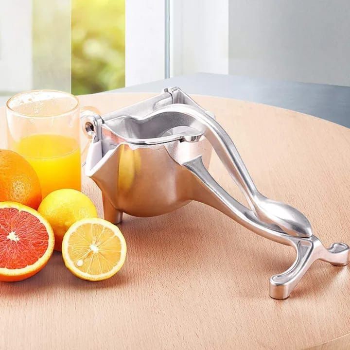 Stainless Steel Handheld Fruit Juicer